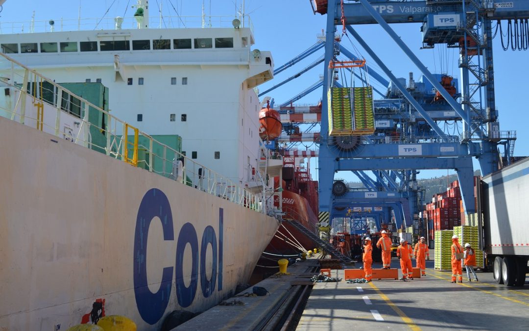 TPS Valparaíso, Cool Carriers y Global Reefers afianzan liderazgo en servicios de naves refrigeradas