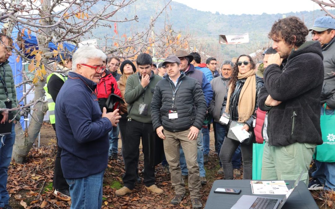 PEC Cherry Conference: Comité de Cerezas de Frutas de Chile participa en importante evento de transferencia técnica sobre el cerezo