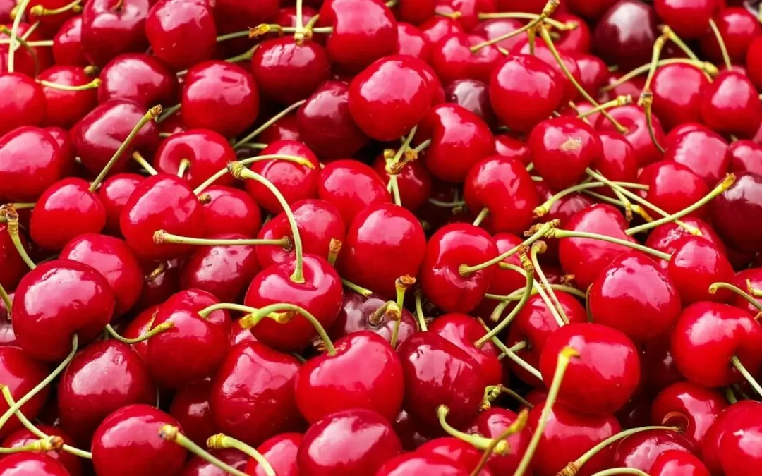 SAG logró importante acuerdo con China que beneficiará a los exportadores de cerezas